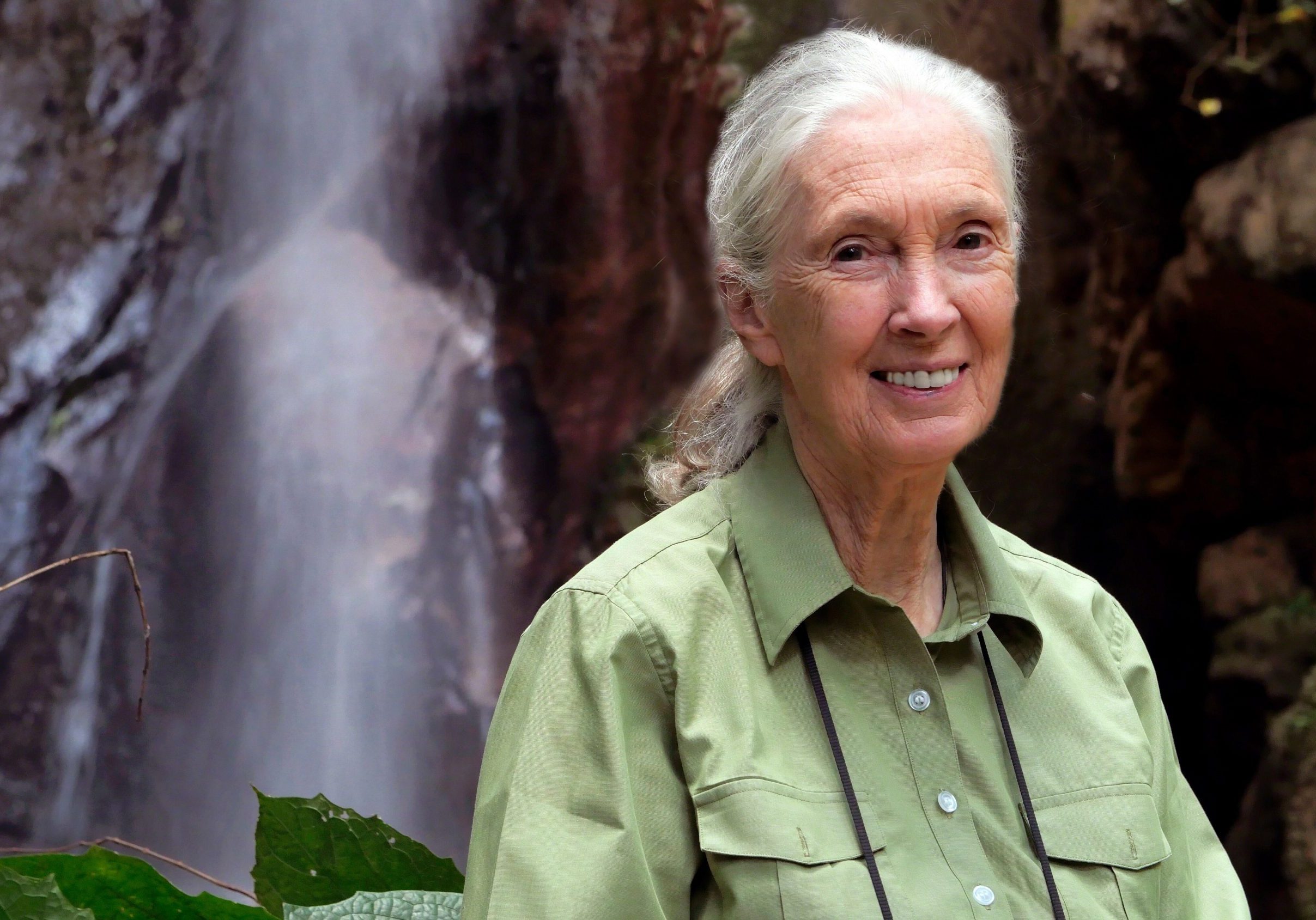 Dr Jane Goodall, DBE © the Jane Goodall Institute By Bill Wallauer